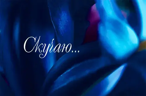 Открытка Скучаю - Синий цветок: нежная открытка с бутоном | Красивая открытка #141