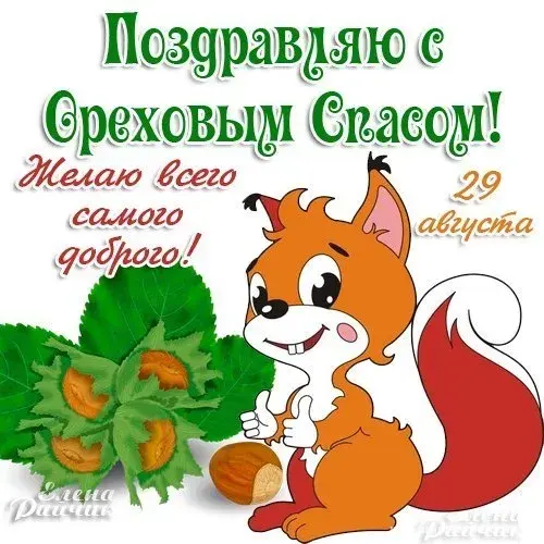 Открытка С белочками - Открытка с белкой и орехами | Красивая открытка #38