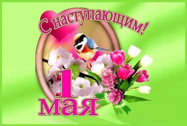 Открытка 1 мая - Открытка с 1 мая: птичка и цветы | Красивая открытка #123