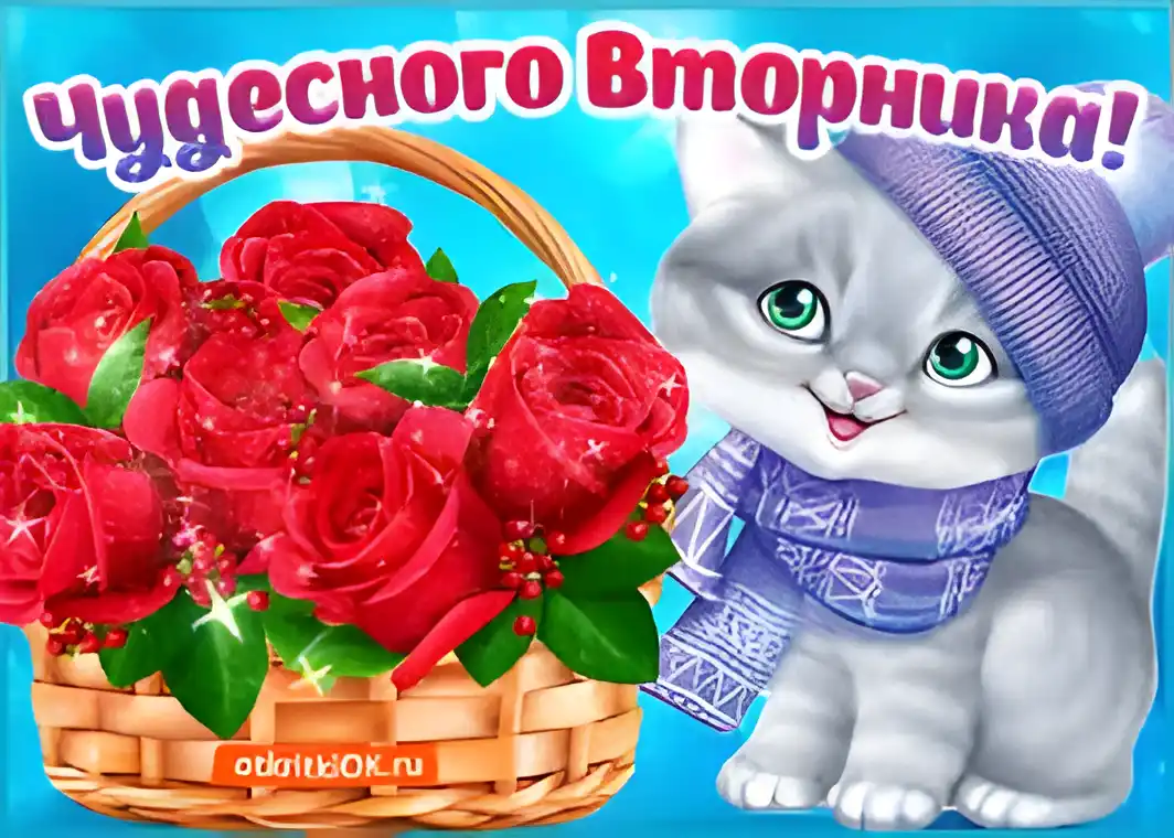 Открытка Открытки на вторник - Открытка с котенком и розами | Красивая открытка #209