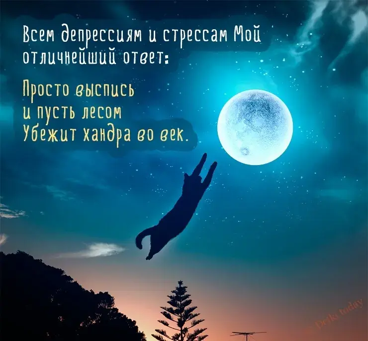 Открытка Доброй ночи - Кошка на фоне луны: открытка с праздничным настроением | Красивая открытка #87