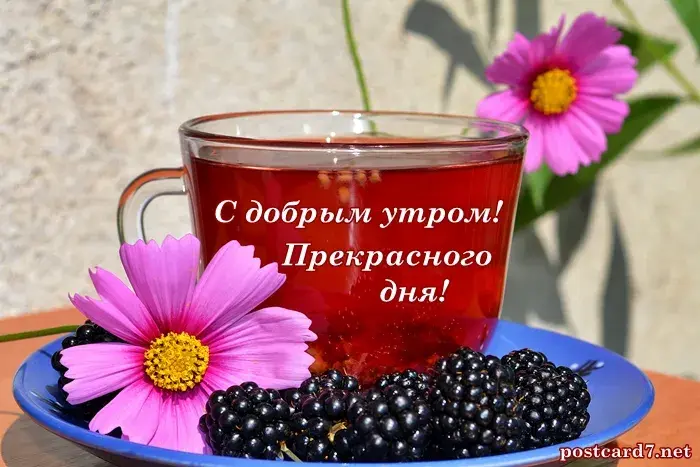 Открытка Доброе утро - Открытка с цветами и ягодами: С добрым утром! | Красивая открытка #107