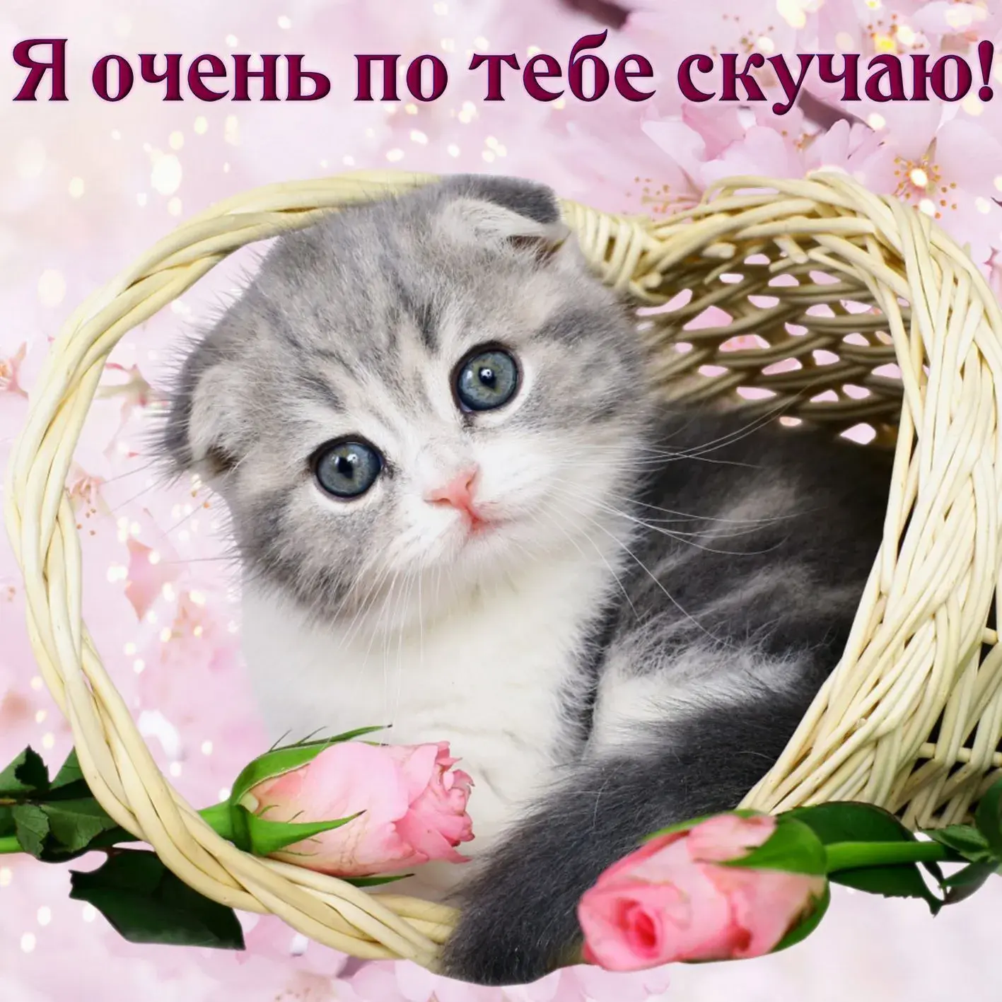 Открытка Я скучаю  - Милый котенок в плетеной корзине с розовыми цветами | Красивая открытка #54