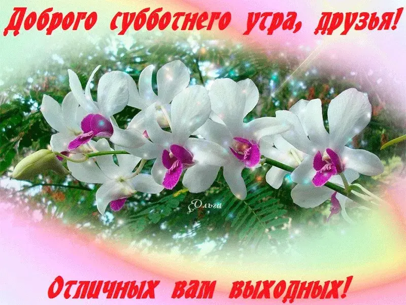Открытка Доброе утро суббота - Отличных вам выходных! | Красивая открытка #29