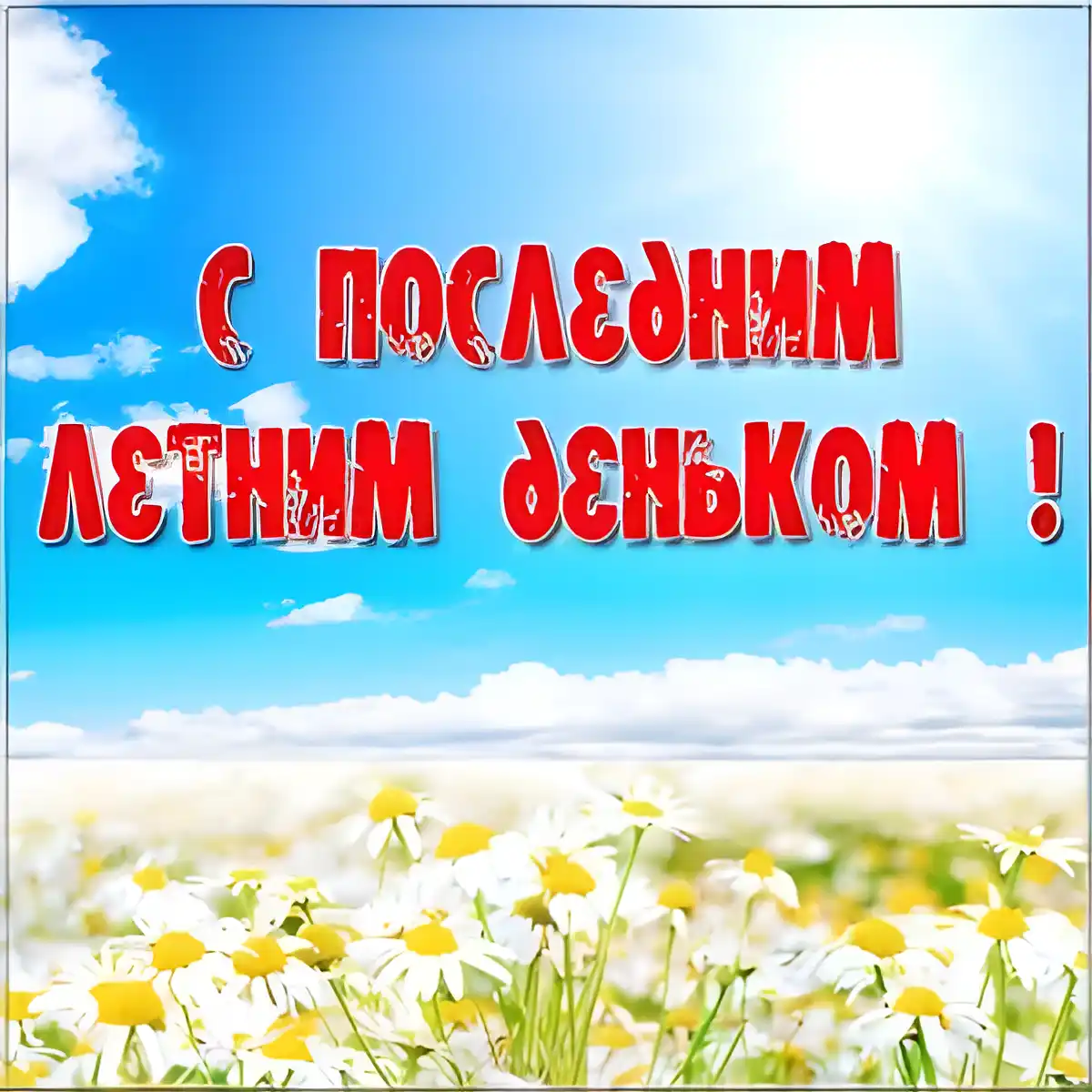 Открытка С последним днем лета! - Полевые цветы на фоне голубого неба. Открытка | Красивая открытка #5