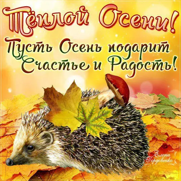 Открытка Первый день осени - Ежик на фоне осенней листвы. Открытка с осенним пейзажем | Красивая открытка #15