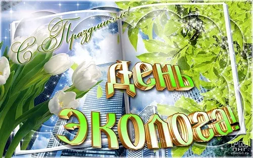 Открытка День эколога - Открытка: Цветы и небо, "С праздником!" | Красивая открытка #51
