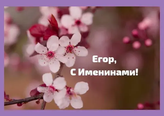 Открытка открытки с именем Егор - Цветущая вишня: Открытка с днем рождения | Красивая открытка #215
