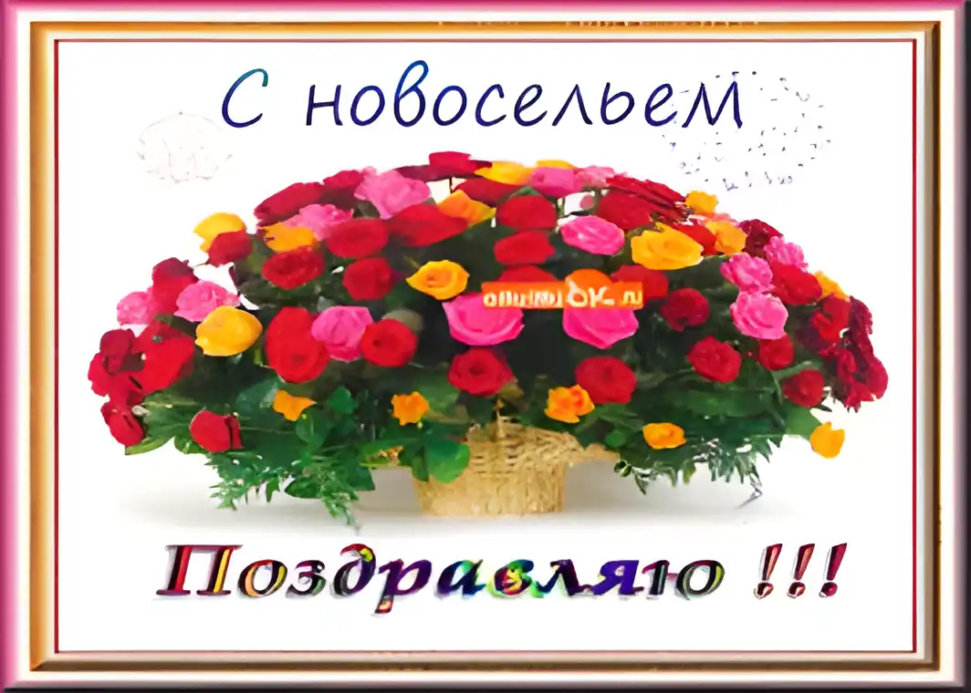 Открытка Открытки с новосельем - Яркая открытка с цветами и корзиной | Красивая открытка #53