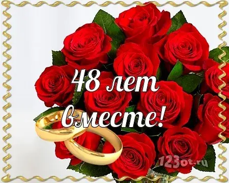 Открытка Открытки на Аметистовую свадьбу 48 лет - Открытка с букетом роз и кольцами: 48 лет вместе | Красивая открытка #15