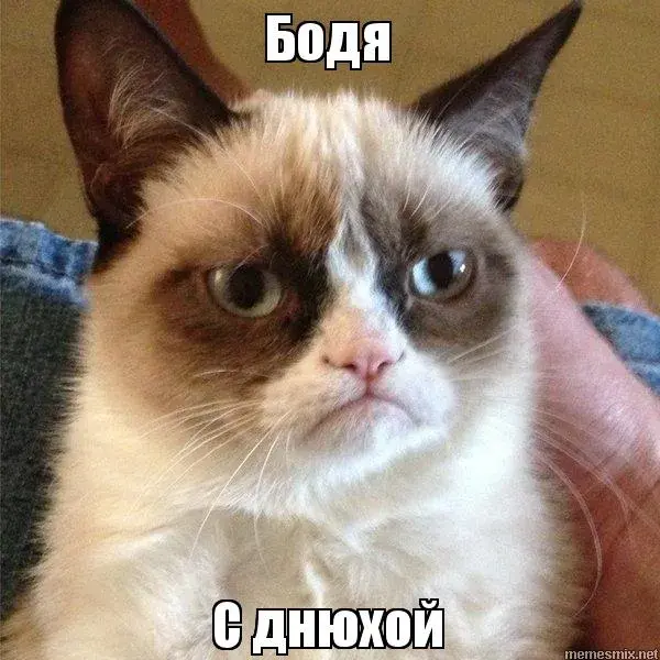 Открытка открытки с именем Богдан - Грустный кот с днем рождения: смешная открытка | Красивая открытка #173