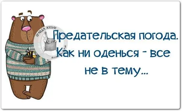 Открытка о погоде - Открытка с милым медведем в свитере | Красивая открытка #12