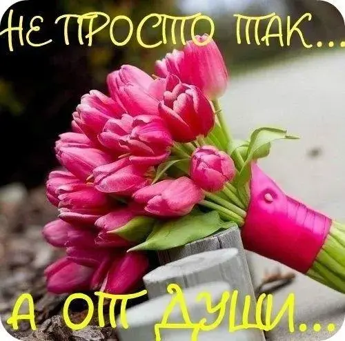 Открытка Просто так - Букет тюльпанов: нежные розовые цветы | Красивая открытка #30