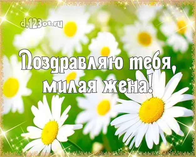 Открытка С ромашками - Открытка с ромашками - С Днём Рождения! | Красивая открытка #96