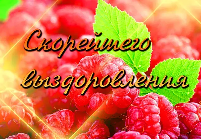 Открытка Открытки скорейшего выздоровления - Открытка с малиной: яркие ягоды и листья | Красивая открытка #6