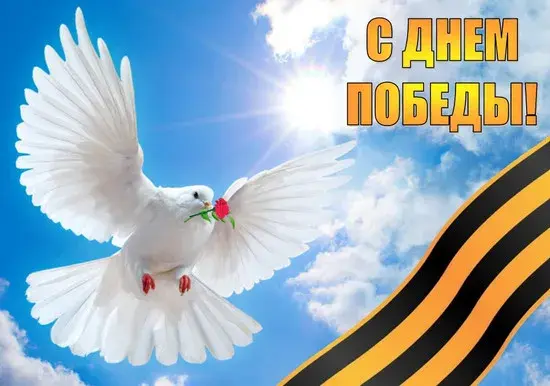 Открытка 9 мая - Белый голубь с красной розой на фоне Победы | Красивая открытка #188