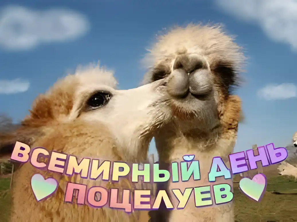 Открытка День поцелуя - Забавные открытки с ламой: милый поцелуй | Красивая открытка #26