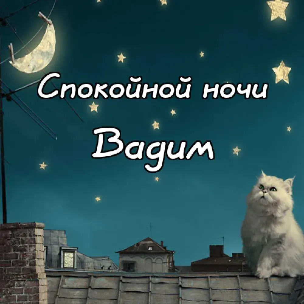 Открытка открытки с именем Вадим - Открытка с котом на крыше под луной | Красивая открытка #221