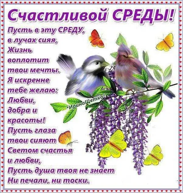 Открытка Со средой - Открытка с синичками и цветами: поздравления с праздником | Красивая открытка #48