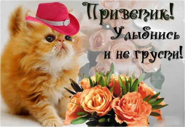 Открытка Не грусти - Открытка с котенком в шляпе и цветами | Красивая открытка #23