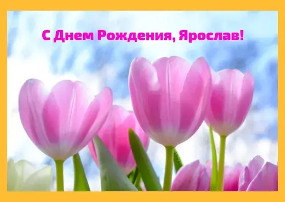 Открытка Открытки с именем Ярослав  - Открытка: Розы и тюльпаны на фоне голубого неба | Красивая открытка #135