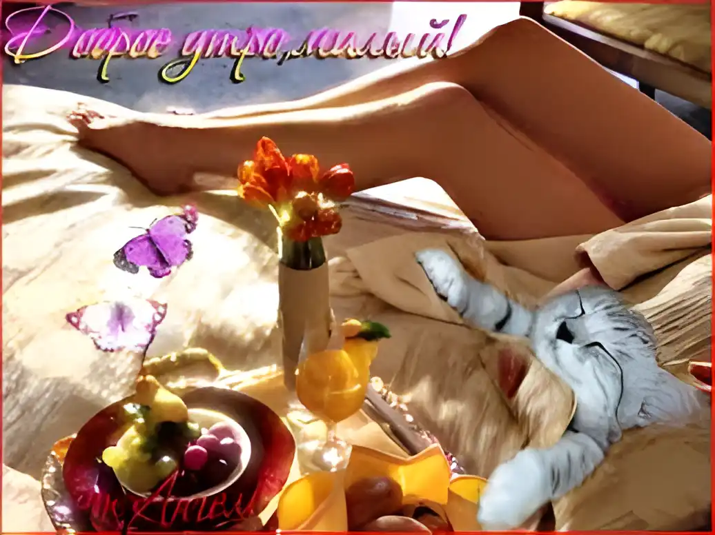 Открытка Доброе утро - Завтрак в постель: фрукты, цветы, кот. Открытка | Красивая открытка #207