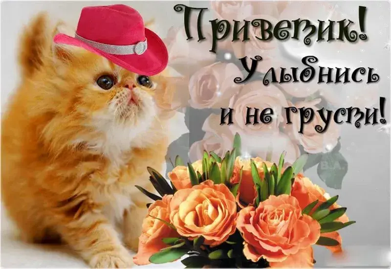 Открытка Улыбнись - Открытка с котенком и цветами | Красивая открытка #33