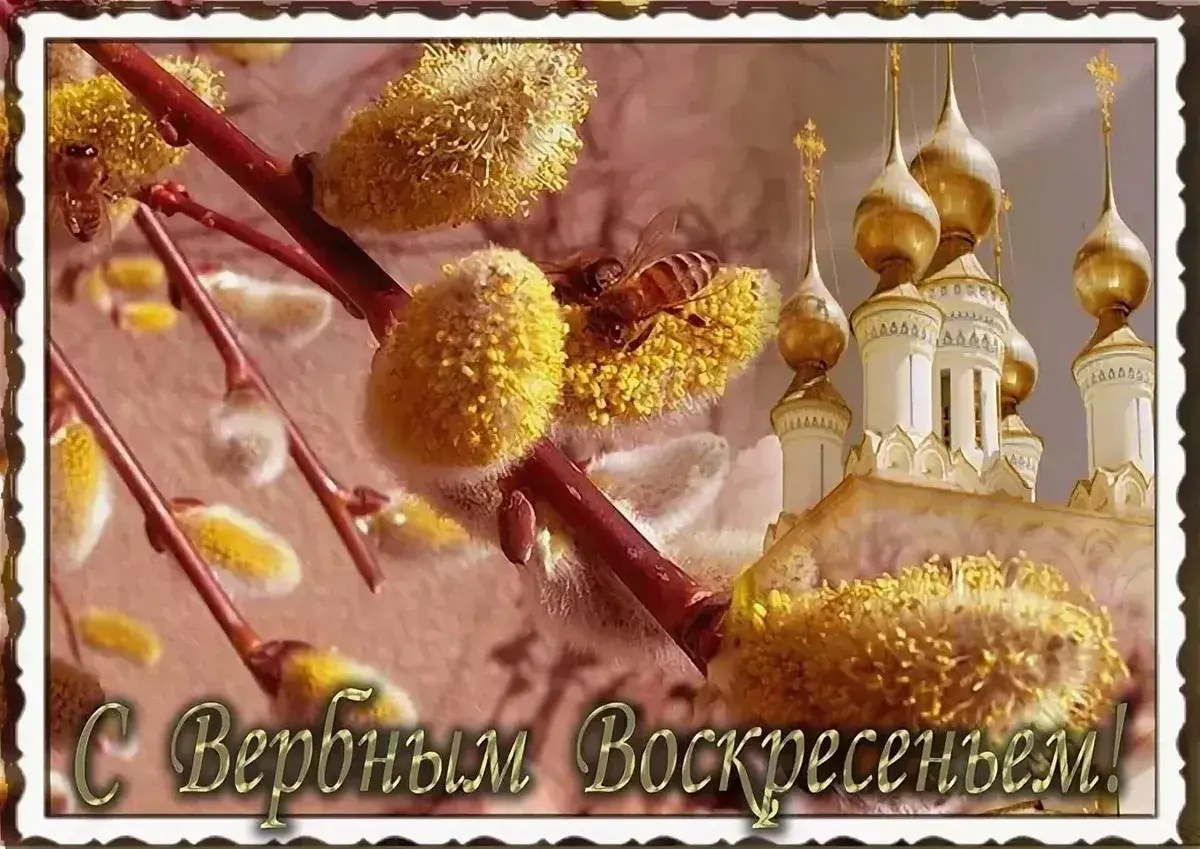 Открытка Вербное Воскресенье - С Вербным воскресеньем! | Красивая открытка #59