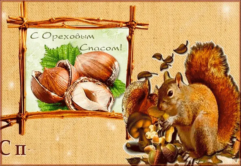 Открытка Ореховый спас. - Открытка с белкой, орехами и осенними листьями | Красивая открытка #61