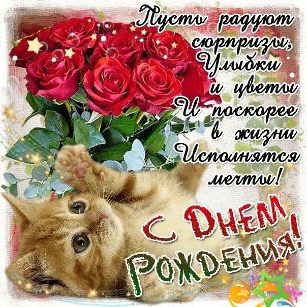 Открытка с днем рождения - Открытка с днем рождения: розы, кот и поздравления | Красивая открытка #142