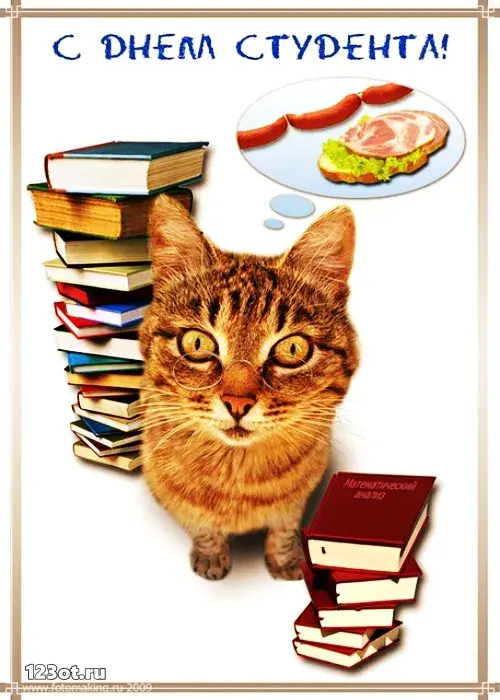 Открытка День студента - Открытка с котом и книгами, бутерброды | Красивая открытка #106
