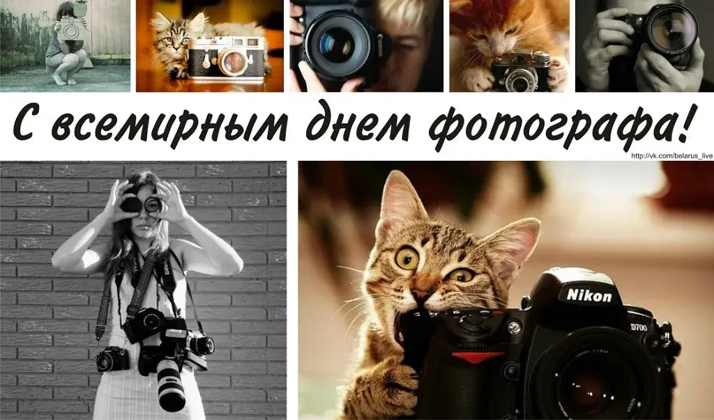 Открытка День фотографа - Открытка с котиком и фотографом | Красивая открытка #7