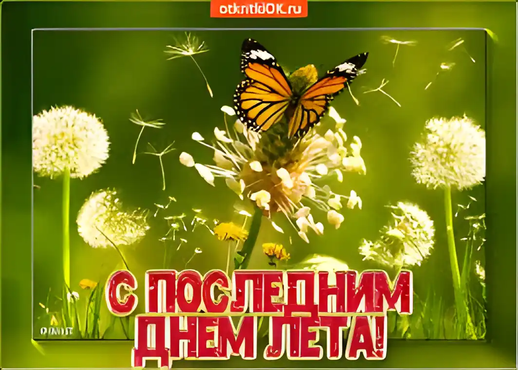 Открытка Открытки с последним днем лета - Поздравительная открытка: День знаний с одуванчиками и бабочкой | Красивая открытка #31