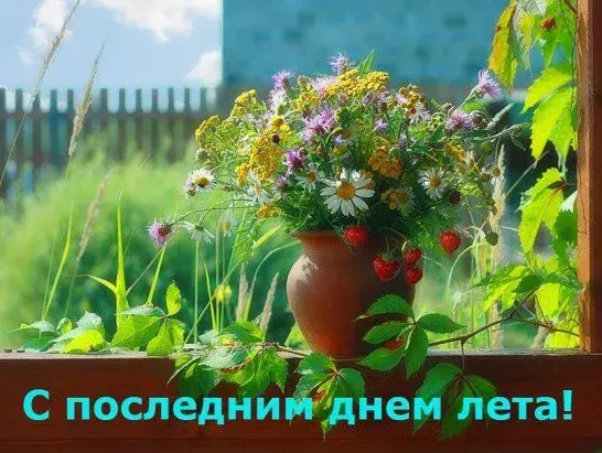 Открытка Открытки с последним днем лета - Полевые цветы в вазе на окне  Открытка с летом | Красивая открытка #26