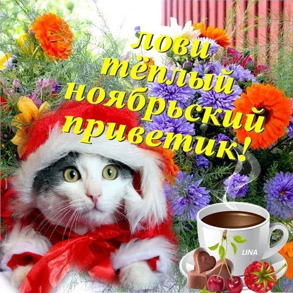Открытка Ноябрьский - Котик в шапке, чай и ягоды: Новогодняя открытка | Красивая открытка #2