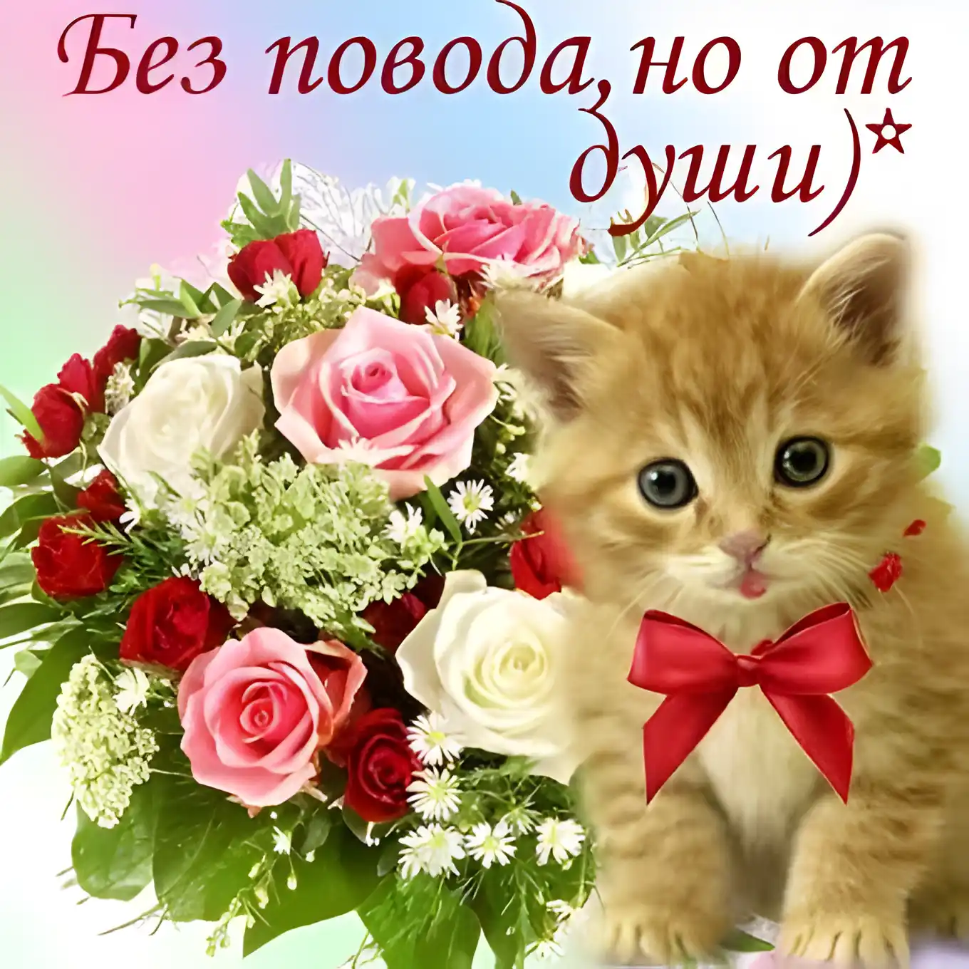 Открытка Просто так - Открытка с котенком и цветами | Красивая открытка #52