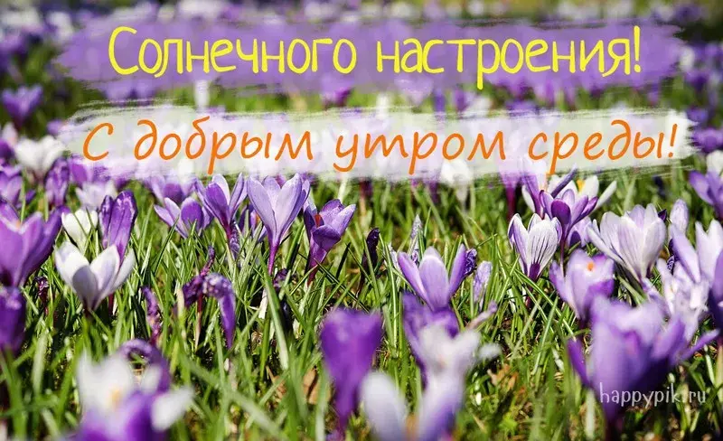 Открытка Доброе утро среда - happyryk.ru | Красивая открытка #34