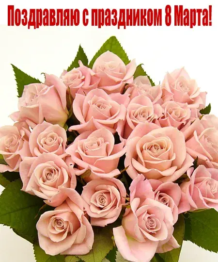 Открытка 8 марта - Букет розовых роз: нежные поздравления с 8 марта | Красивая открытка #96