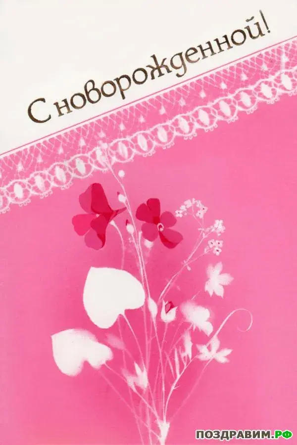 Открытка С новорожденной - Розовые цветы на открытке с надписью | Красивая открытка #23