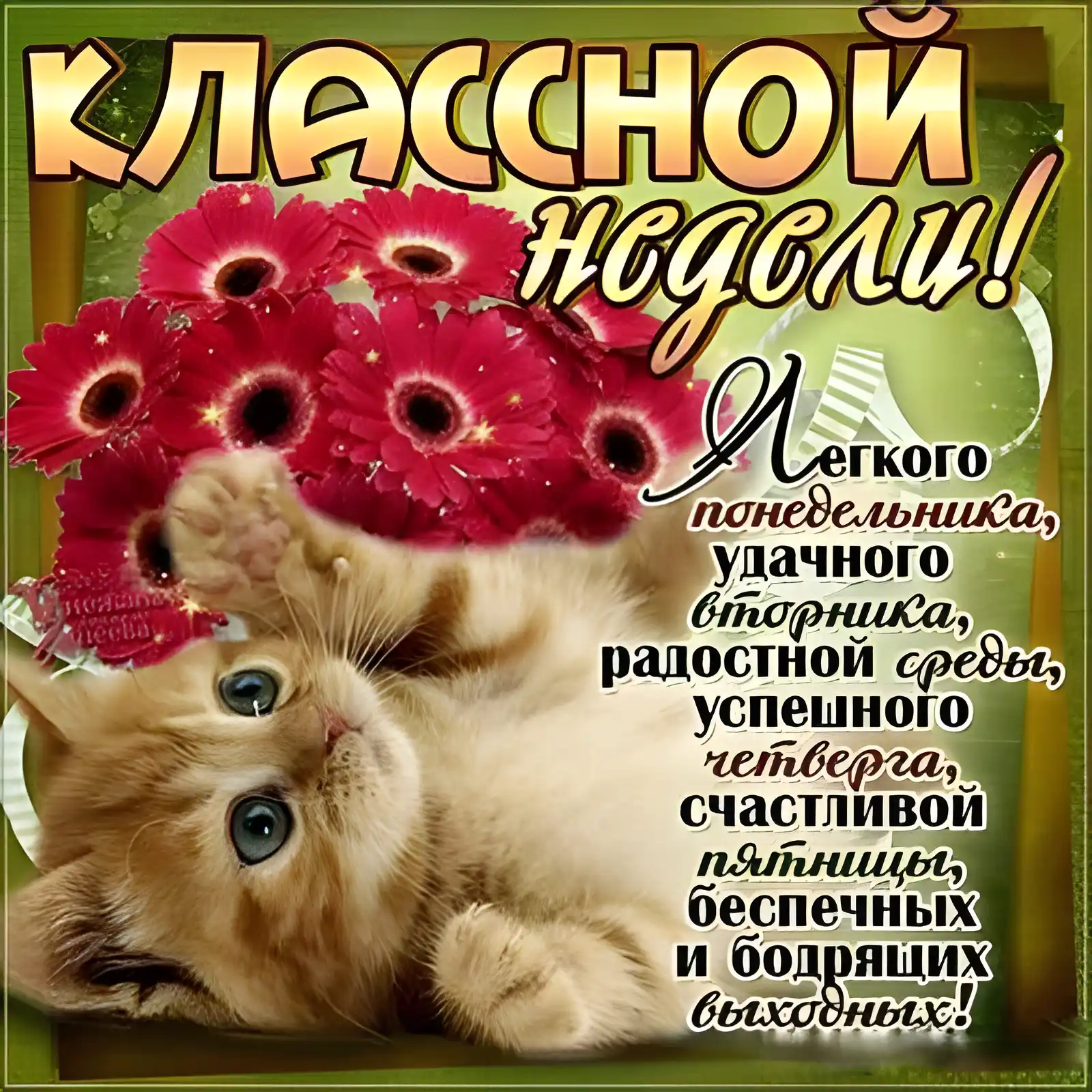 Открытка Недели - Открытка с котенком и цветами: поздравления с праздником | Красивая открытка #16