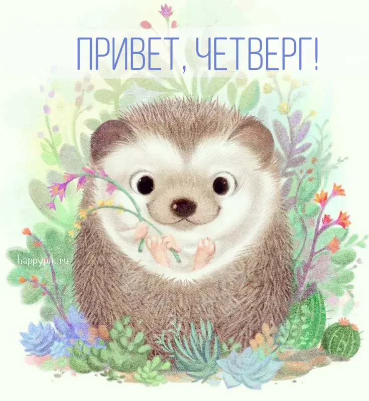 Открытка Открытки на четверг - Открытка с милым ежиком в цветах - купить онлайн | Красивая открытка #118
