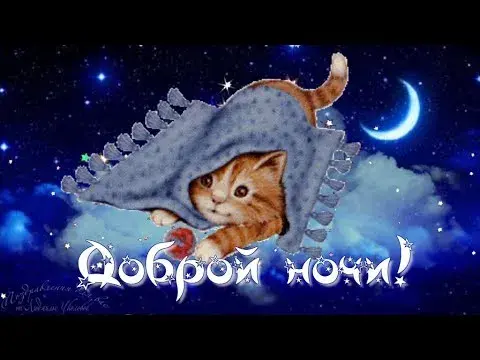 Открытка Сладких снов - Открытка: Симпатичный котенок под луной | Красивая открытка #3