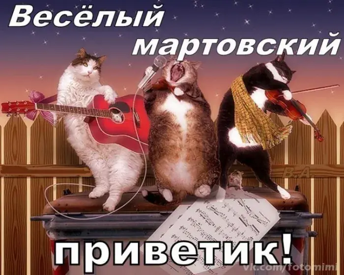 Открытка Март - Коты играют на музыкальных инструментах - открытка | Красивая открытка #10