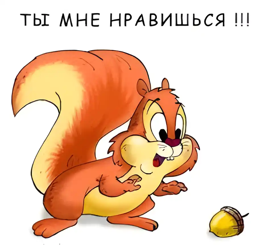 Открытка Открытки ты мне нравишься - Открытка с бельчонком и орешком | Красивая открытка #14