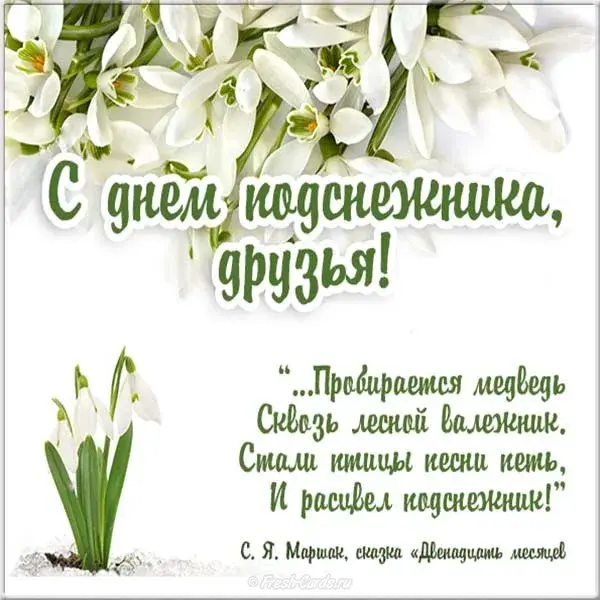 Открытка День подснежника - С Днём Снега! Открытка с подснежниками и надписью | Красивая открытка #27
