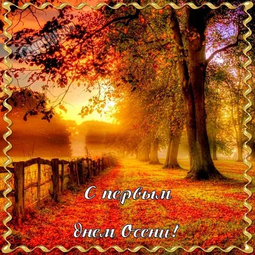Открытка Первый день осени - Осенний лес: яркие краски и золотая пора | Красивая открытка #1