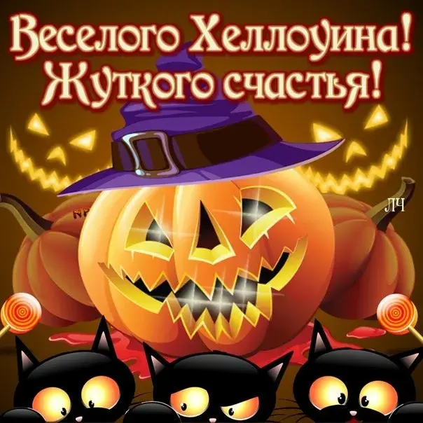 Открытка Хэллоуин - Тыквенный Хэллоуин: веселые кошки и сладости | Красивая открытка #40