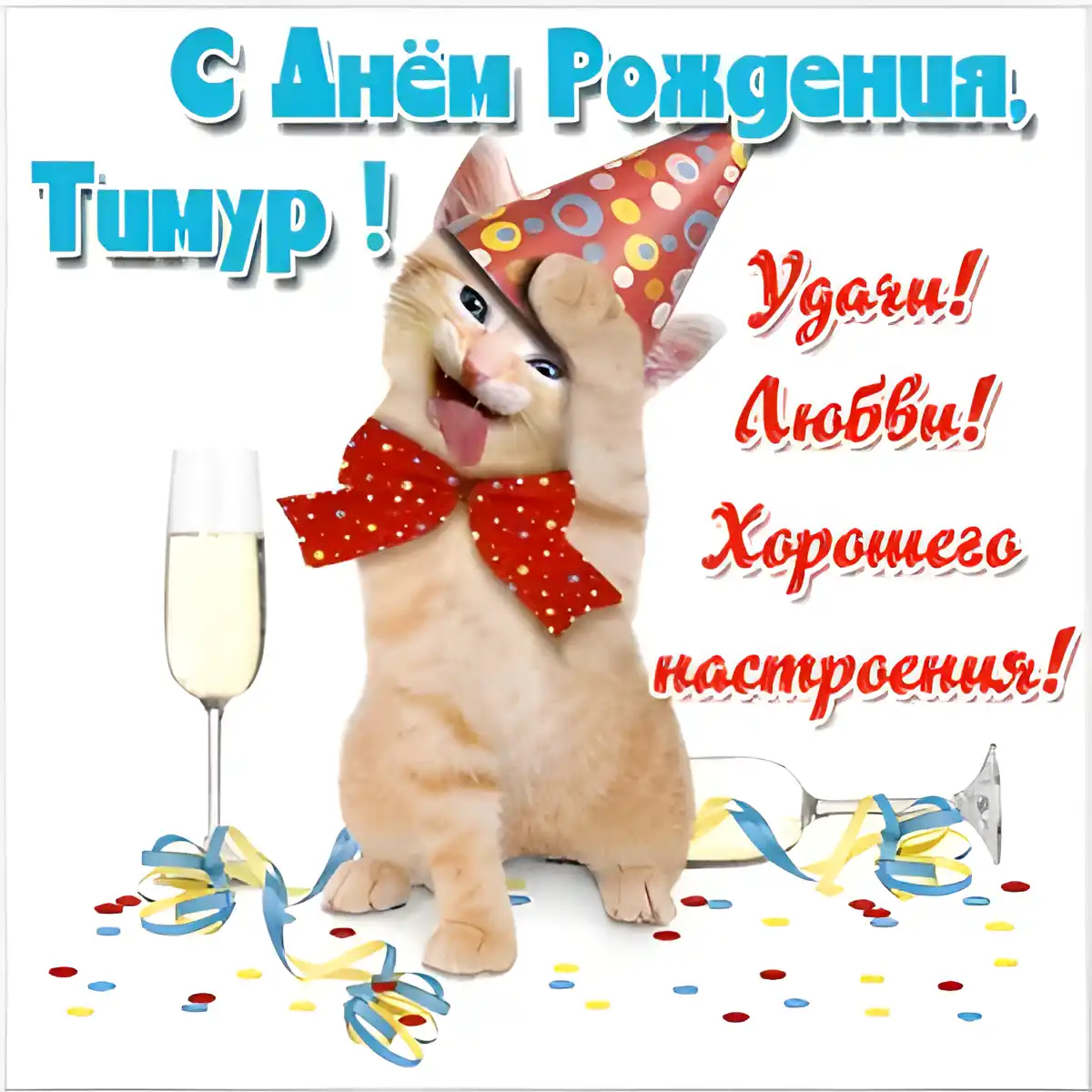 Открытка Открытки с именем Тимур - Котенок на вечеринке: смешная открытка с днем рождения | Красивая открытка #62