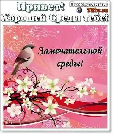 Открытка Среда - Открытка с цветущей веткой и птичкой | Красивая открытка #25