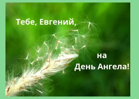 Открытка открытки с именем Евгений - Пушинка одуванчика на фоне зелени. Открытка | Красивая открытка #120